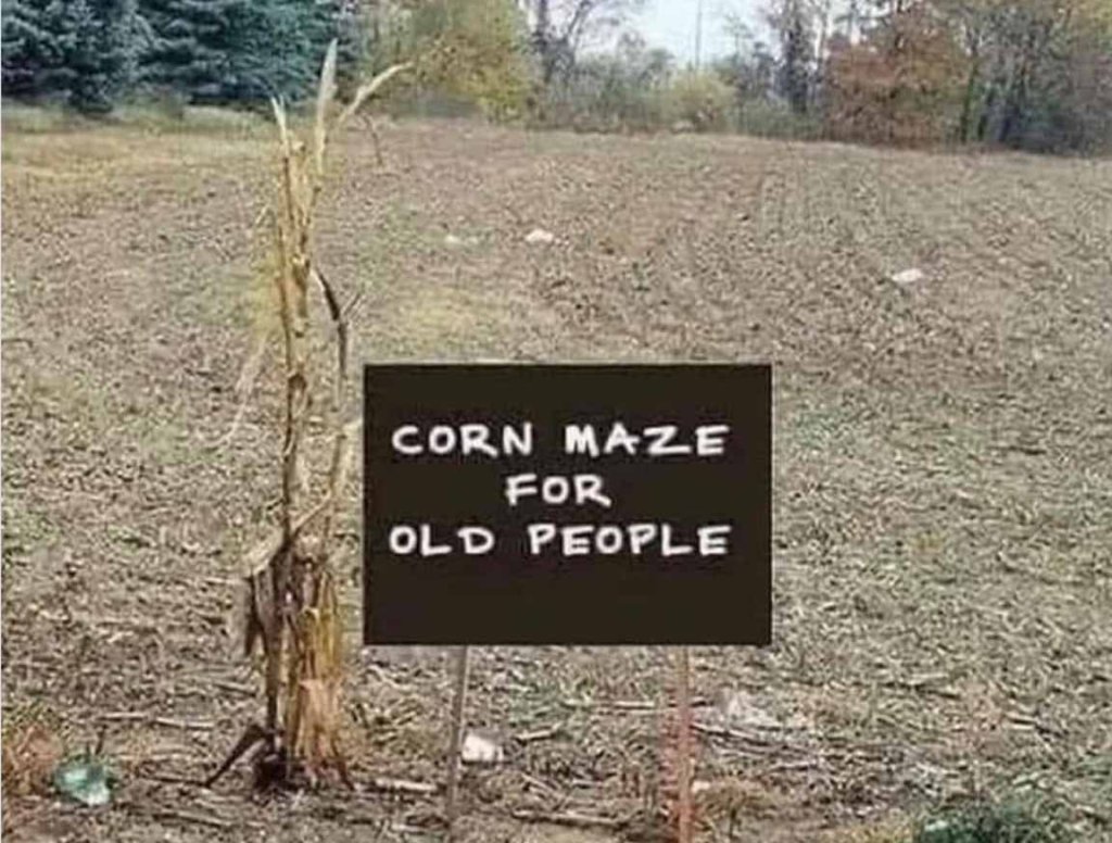 1Corn Maze.jpg