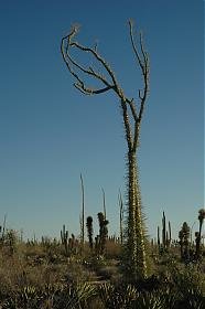 Baja Tour 06 168.jpg