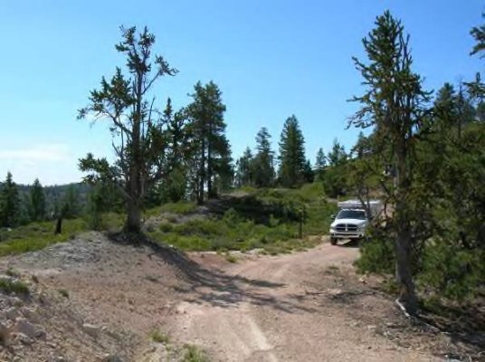 Dixie National  Forest.jpg