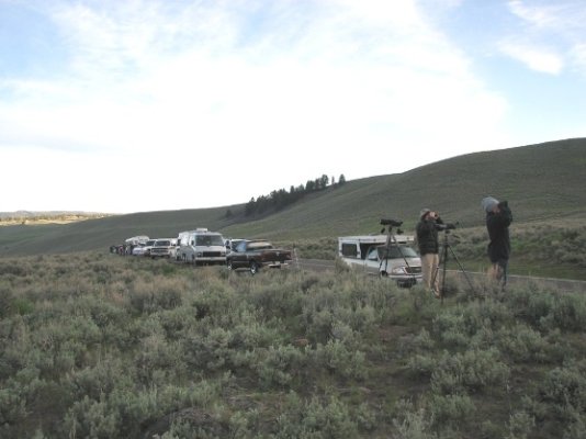 Lamar Valley Turnout.JPG