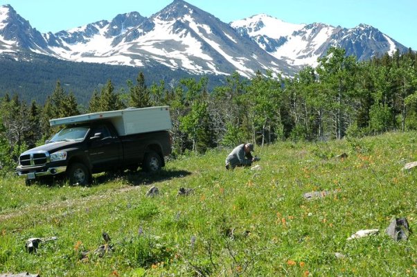 DSC_4205 Tchaikazan wildflower meadows [640x480].JPG