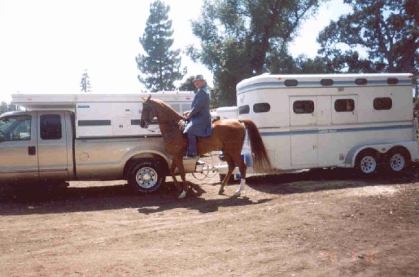 Horse & Camper Picture 1.jpg