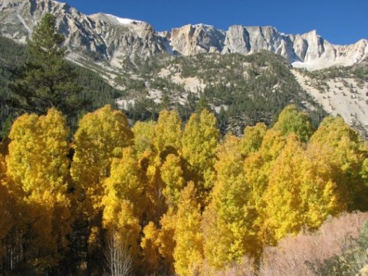 Tioga Pass.JPG