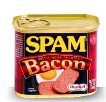 spam with bacon.jpg