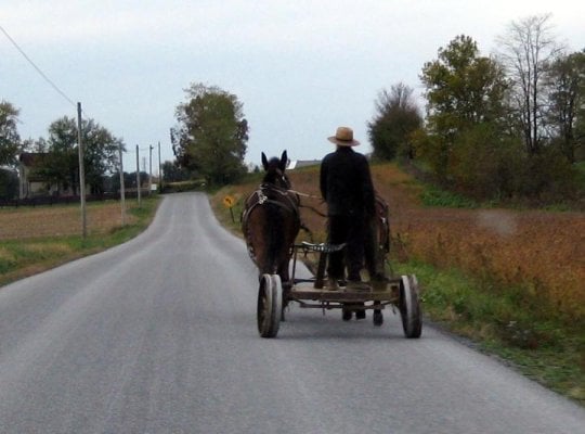 Amish wagon.jpg