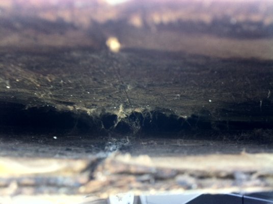 delamination and black mold.JPG