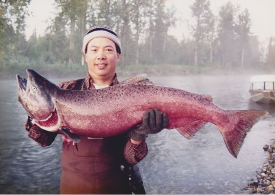 35 pound King Salmon on Moose Creek - small.JPG