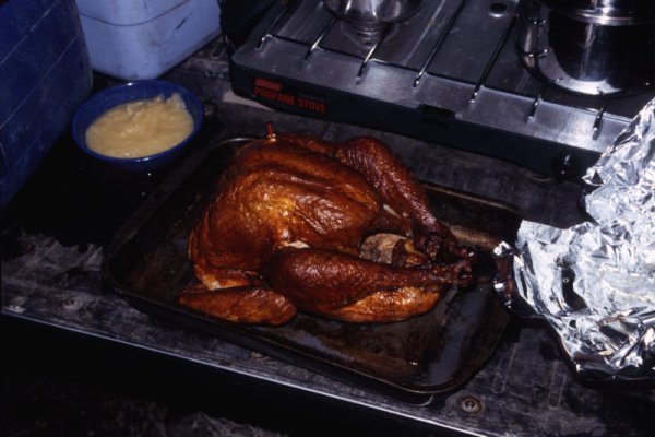 Turkey-grill 3.jpg