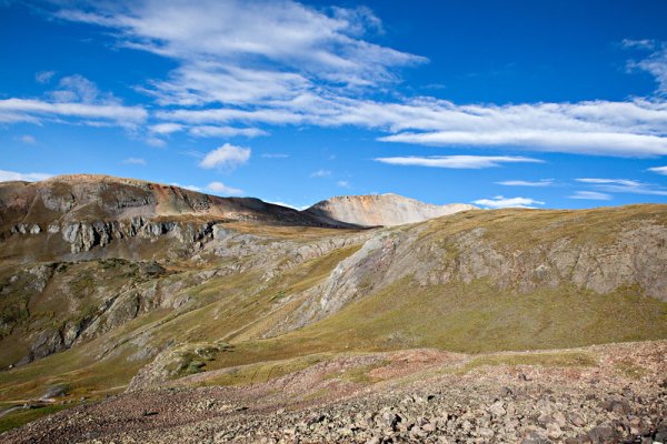 Black Bear @ Imogene Pass_006-L.jpg