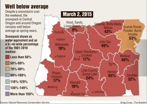 Bulletin_20150303-1.jpg