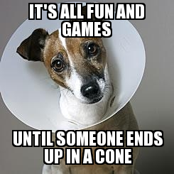 fun and games cone.png