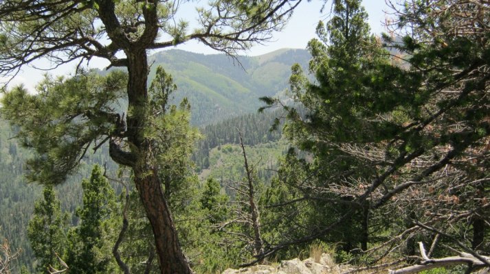 Crest_Trail_view.jpg