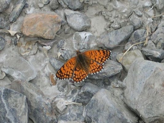 death valley 007.jpg