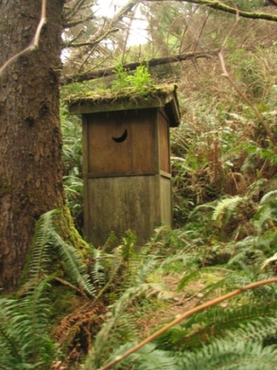 Outhouse.jpg