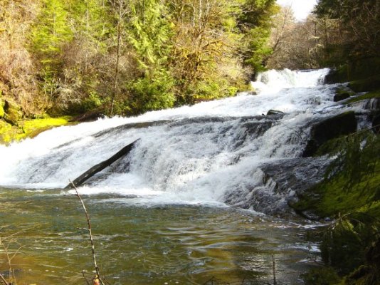 Alsea Waterfall 1_sm.jpg