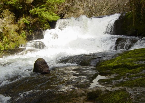 alsea falls upper.jpg