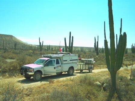 surf boards in baja #1.jpg