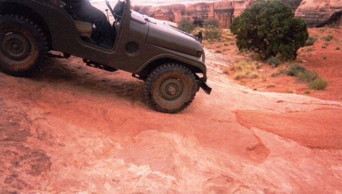 1953 M38 White Rim Trail.jpg