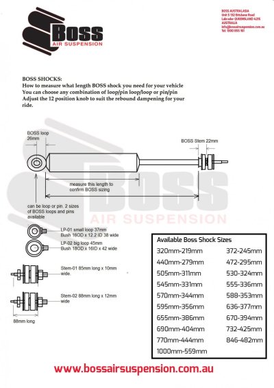 Boss-Shock-Details for dummies.jpg