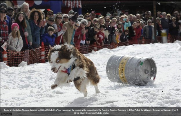 Bulletin_K9-Keg-Pull.jpg