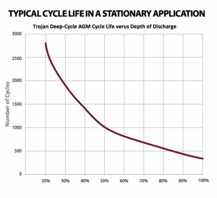 agm life cycle.jpg