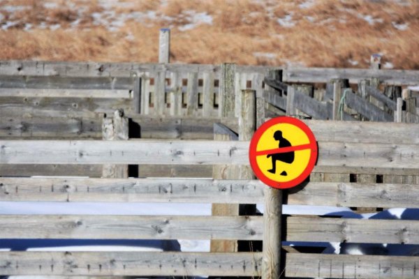 Corral Sign #2.jpg