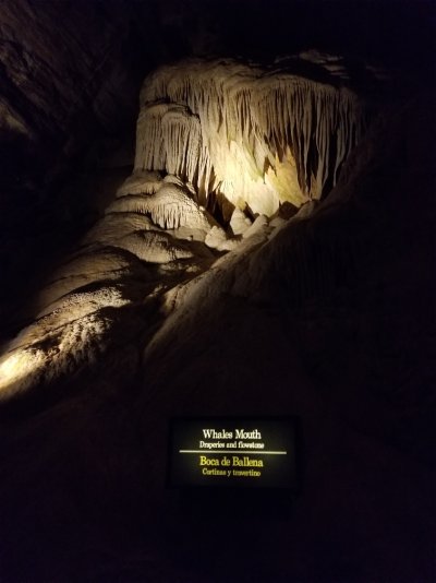 Carlsbad Whales Mouth.jpg