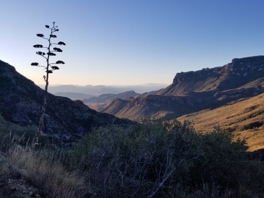 Jan 3 Sunrise Lost Mine Trail.jpg