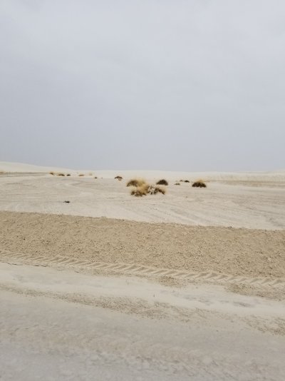 Jan 21 White Sands.jpg