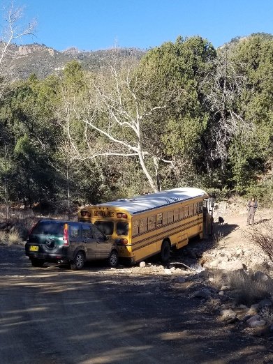 Feb 8 Bus in Creek.jpg