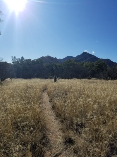 Feb 10 Cochise Stronghold.jpg