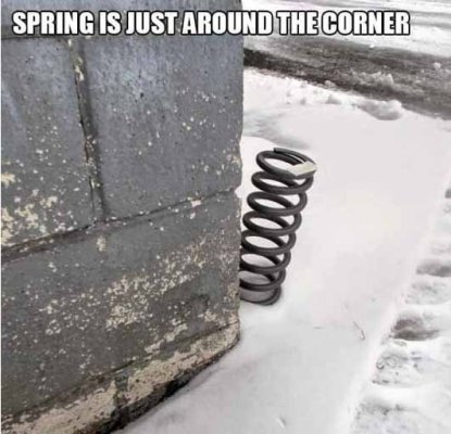 spring.jpg