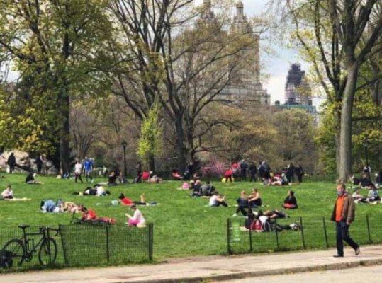 central park.jpg