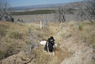 West side Granite Pass road with OCTA marker.JPG