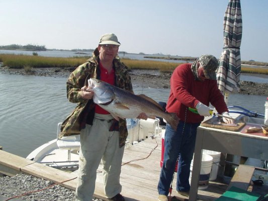 Bill Davis 47 in Redfish 11 2006.jpg