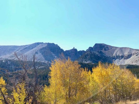 wheeler peak - 1 (1).jpg