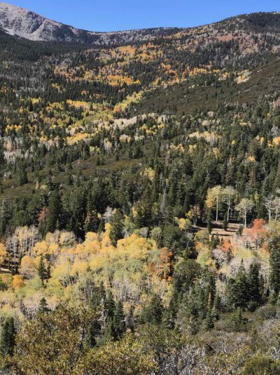 wheeler peak drive - 1.jpg