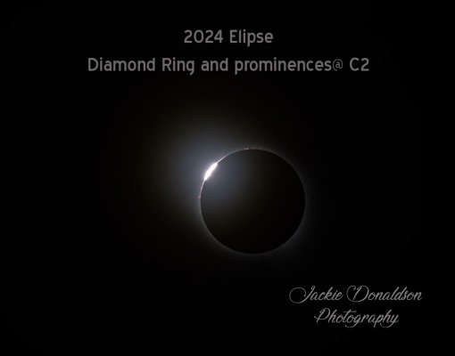 Diamond Ring c2w.jpg