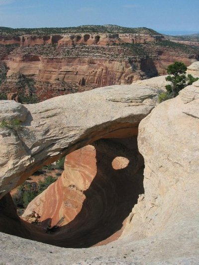 Fall Foilage and Rattlesnake Canyon 034 Standard e-mail view.jpg