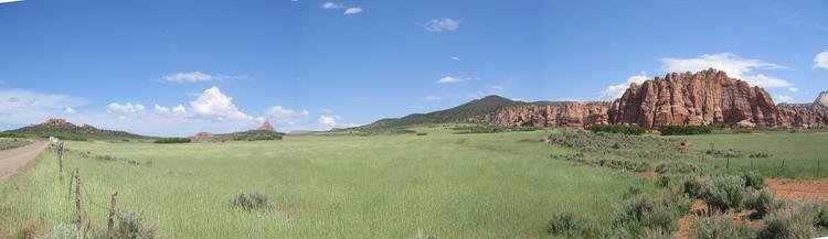 Upper Zion meadow.jpg