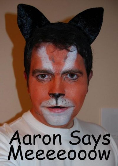 Aaron cat.jpg