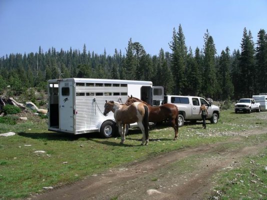 Resize of Loney Meadow Horse trip 2008-06-14 033.JPG