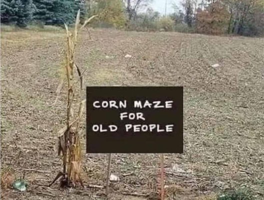 1Corn Maze.jpg