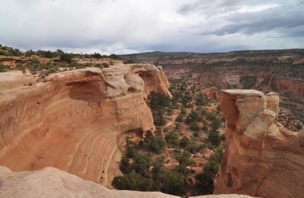 rattlesnake canyon2.jpg