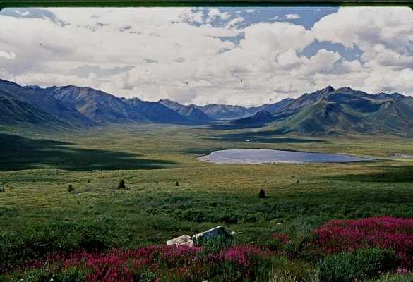 Dempster Hwy1615.jpg