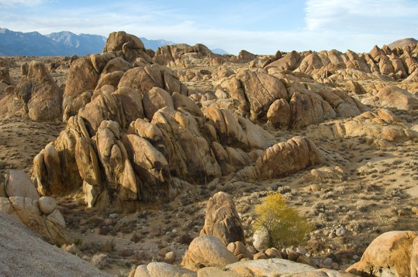 Alabama-Hills-nov09-015-web.jpg