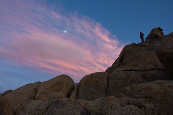 Alabama-Hills-nov09-039-web.jpg