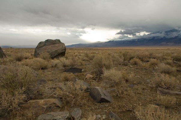 Alabama-Hills-nov09-050-web.jpg