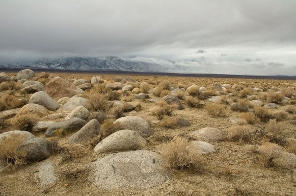 Alabama-Hills-nov09-053-web.jpg