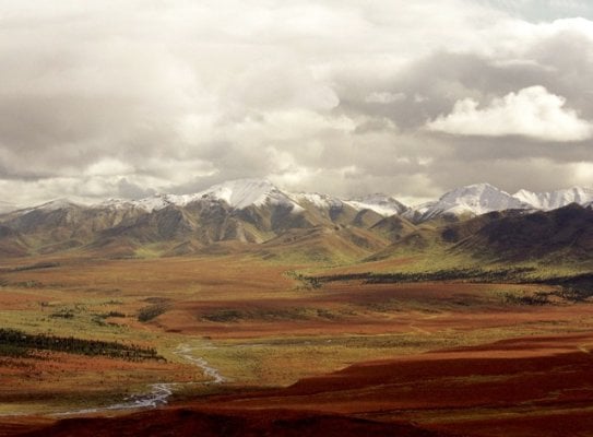 fall-tundra_denali-national-park_alaska.jpg